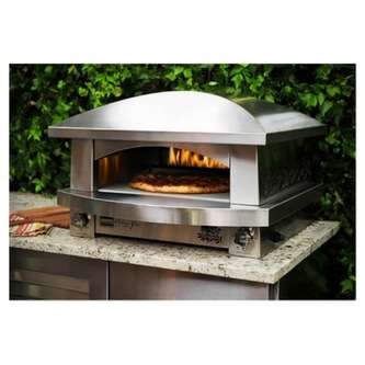 Wood Fired Pizza Oven Manufacturer in Delhi